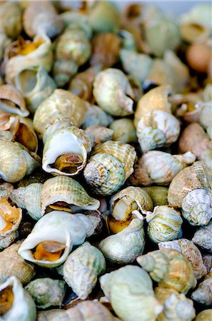 simsearch:659-06306484,k - A pile of whelks at a market Photographie de stock - Premium Libres de Droits, Code: 659-07958237