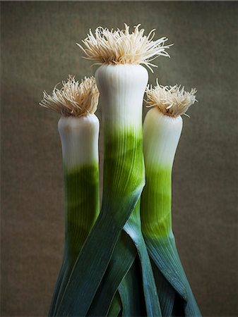 studio shot - Three leeks Photographie de stock - Premium Libres de Droits, Code: 659-07958331