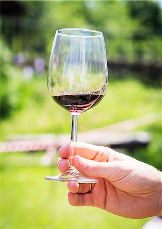 degustation - A man holding a glass of Saperavi (dry red wine, Georgia) Stock Photo - Premium Royalty-Free, Code: 659-07958625