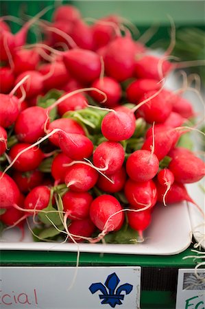 Fresh Radishes at Market Stock Photo - Premium Royalty-Free, Code: 659-07959040