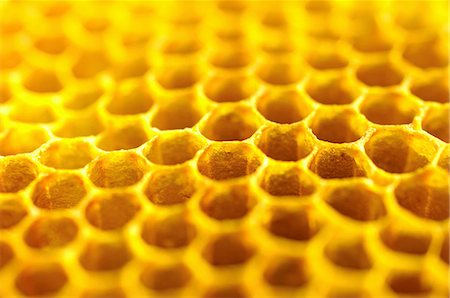 Honey on a honeycomb (close-up) Stock Photo - Premium Royalty-Free, Code: 659-07959259