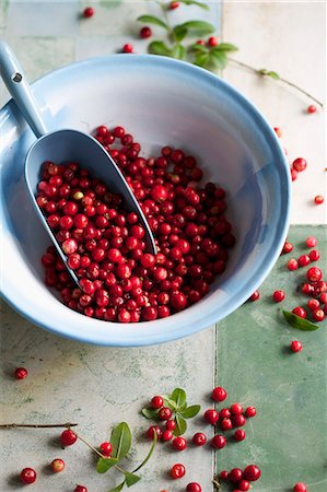 rustic - A bowl of cranberries Photographie de stock - Premium Libres de Droits, Code: 659-07959252