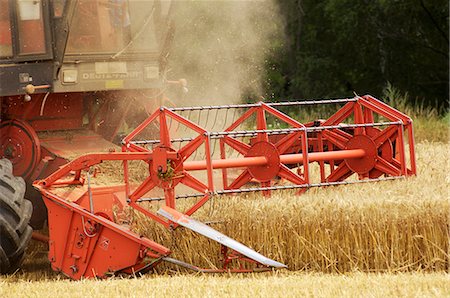 A combine harvester in a wheat field (wine growing region, Austria) Foto de stock - Sin royalties Premium, Código: 659-07959276