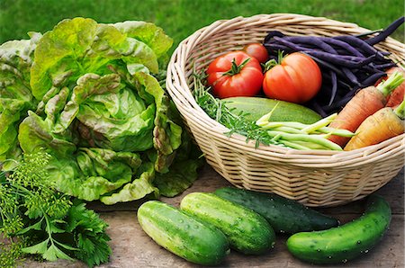 summer still life - Summer garden harvest: lettuce, cucumber, dill, parsley, savory, beans, carrots and tomatoes Stock Photo - Premium Royalty-Free, Code: 659-07959310