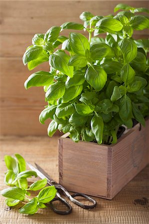 simsearch:659-07739574,k - Fresh basil in a wooden crate Stock Photo - Premium Royalty-Free, Code: 659-07959473
