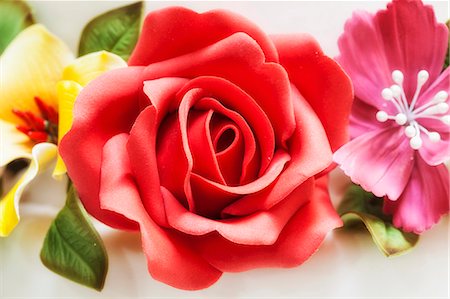 A red rose in a sugar flower wreath Photographie de stock - Premium Libres de Droits, Code: 659-07959491