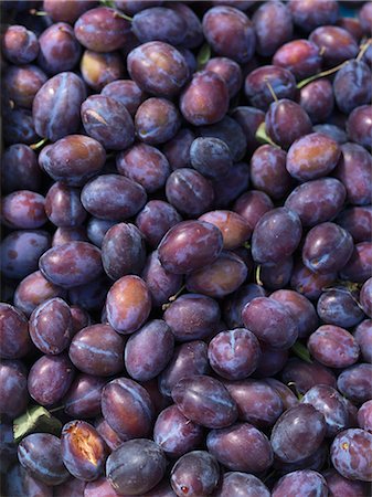 stone fruit - Freshly harvested damsons Stock Photo - Premium Royalty-Free, Code: 659-07959644