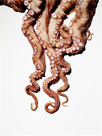 Octopus (detail) Foto de stock - Sin royalties Premium, Código: 659-07959724