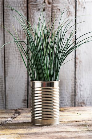 Chives in a tin can Foto de stock - Sin royalties Premium, Código: 659-08146998