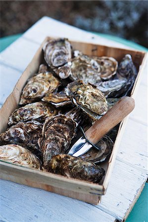 Fresh marennes oyster in a crate (France) Photographie de stock - Premium Libres de Droits, Code: 659-08147134