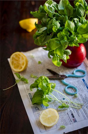 A large bunch of basil in a vase on a piece of newspaper Stock Photo - Premium Royalty-Free, Code: 659-08147951