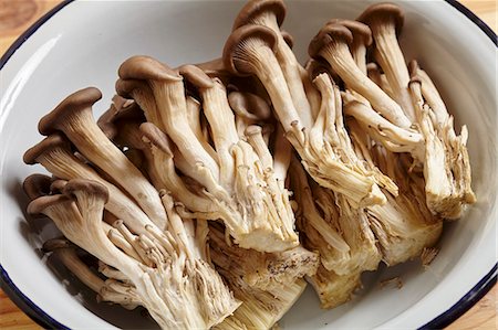 simsearch:659-07028069,k - Young oyster mushrooms from Korea Stock Photo - Premium Royalty-Free, Code: 659-08147973