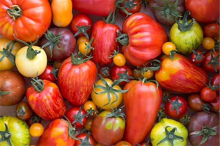 Various Heirloom tomatoes (seen from above) Photographie de stock - Premium Libres de Droits, Code: 659-08147989