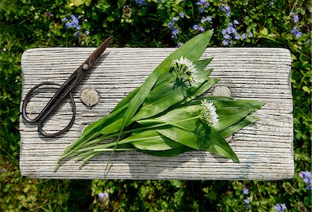 simsearch:659-08896951,k - Fresh wild garlic and flowers on a wooden table in a garden Foto de stock - Sin royalties Premium, Código: 659-08148122