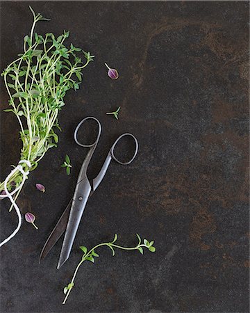 simsearch:659-07028065,k - Freshly thyme with an old pair of scissors (seen from above) Stock Photo - Premium Royalty-Free, Code: 659-08418801