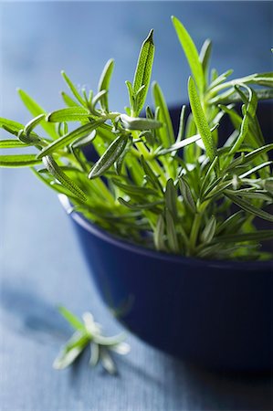 simsearch:659-07027155,k - Fresh rosemary in a blue bowl Photographie de stock - Premium Libres de Droits, Code: 659-08418850