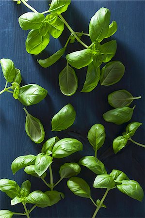 sweet basil - Fresh basil on a blue wooden surface Stock Photo - Premium Royalty-Free, Code: 659-08418852