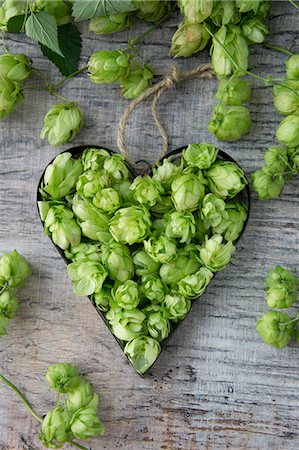 Hops umbels inside a heart-shaped cutter Photographie de stock - Premium Libres de Droits, Code: 659-08419072