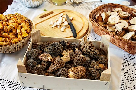 ernte - Porcini mushrooms, chanterelle mushrooms and morel mushrooms on a table with a white tablecloth Photographie de stock - Premium Libres de Droits, Code: 659-08419153