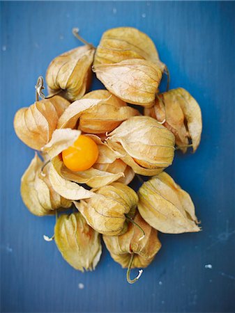 food overhead color background - Physalis on a blue surface Stock Photo - Premium Royalty-Free, Code: 659-08419432