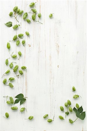 plan view - Hops, umbers and leaves on a wooden surface Stock Photo - Premium Royalty-Free, Code: 659-08419999