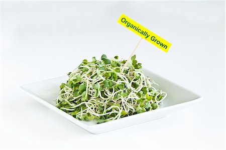 Organic pea shoots with an organic sign Photographie de stock - Premium Libres de Droits, Code: 659-08420088