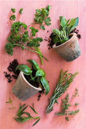 simsearch:659-08905402,k - Basil in a pot and fresh herbs on a wooden surface Foto de stock - Sin royalties Premium, Código: 659-08512916