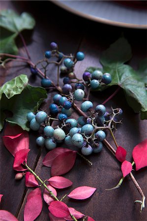 Turquoise berries and autumn leaves as table decoration Stock Photo - Premium Royalty-Free, Code: 659-08513074