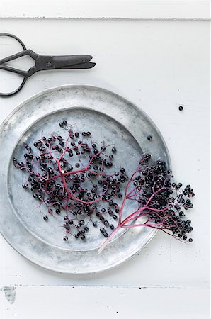 Clusters of elderberries on a pewter plate with a pair of scissors next to it Photographie de stock - Premium Libres de Droits, Code: 659-08896097