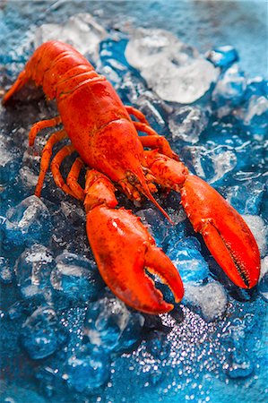 simsearch:659-06373226,k - Lobster on ice Foto de stock - Sin royalties Premium, Código: 659-08897023
