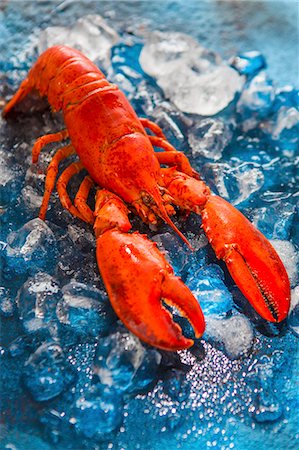 Lobster on ice Stock Photo - Premium Royalty-Free, Code: 659-08897023