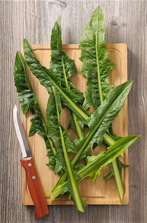 simsearch:659-07738887,k - Catalogna (chicory) on a wooden board Photographie de stock - Premium Libres de Droits, Code: 659-08904174