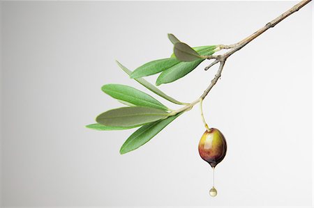 Olive oil dripping from an olive Stock Photo - Premium Royalty-Free, Code: 659-08904491