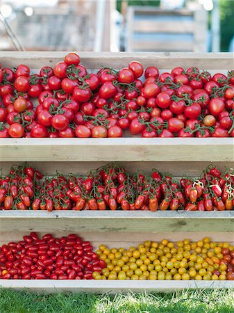 simsearch:659-08906483,k - Assorted tomatoes in wooden trays Photographie de stock - Premium Libres de Droits, Code: 659-08905294