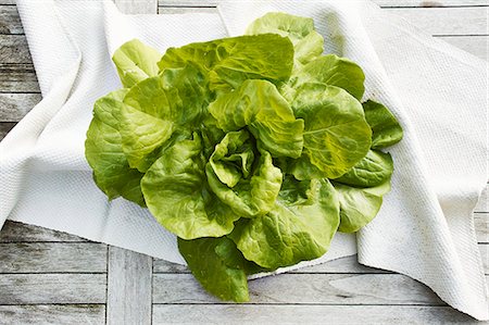 simsearch:659-07028592,k - Oak leaf lettuce (topic: light suppers) Photographie de stock - Premium Libres de Droits, Code: 659-08905478