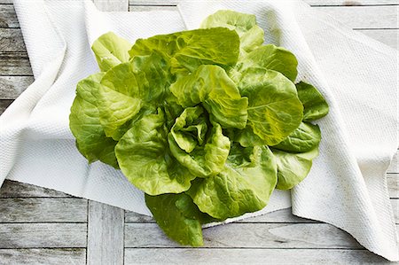 Oak leaf lettuce (topic: light suppers) Stock Photo - Premium Royalty-Free, Code: 659-08905478