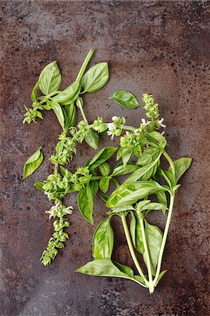 simsearch:659-08906784,k - Sprigs of basil with flowers on a metal surface Photographie de stock - Premium Libres de Droits, Code: 659-08905601