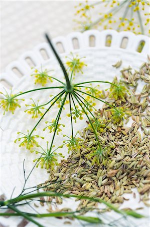 simsearch:659-06184780,k - Fennel seeds and flowers on a ceramic plate Foto de stock - Sin royalties Premium, Código: 659-08905768