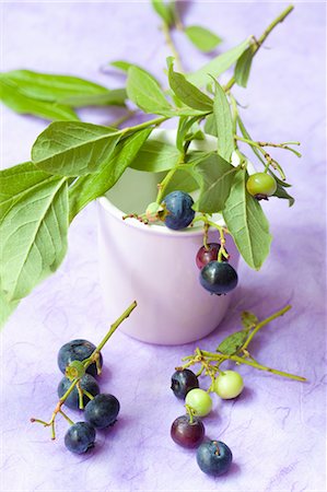 simsearch:659-03535670,k - Blueberries with twigs and leaves Stock Photo - Premium Royalty-Free, Code: 659-08906433