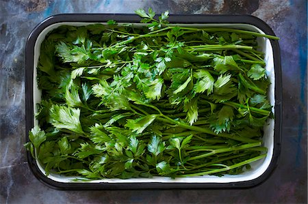 Fresh parsley in an enamel dish Stock Photo - Premium Royalty-Free, Code: 659-08906572