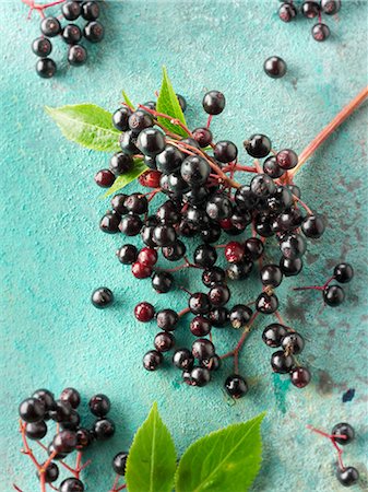 soft fruit - Freshly picked elderberries on a turquoise surface Stock Photo - Premium Royalty-Free, Code: 659-08906676