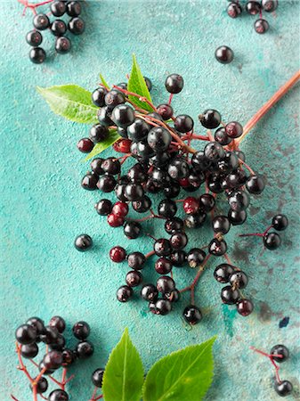 Freshly picked elderberries on a turquoise surface Stock Photo - Premium Royalty-Free, Code: 659-08906676