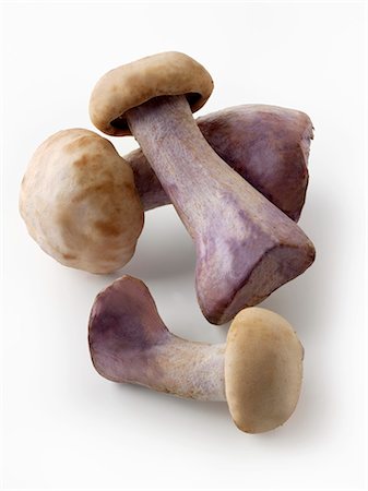 simsearch:659-08895283,k - Freshly picked Pied Bleu mushrooms Foto de stock - Sin royalties Premium, Código: 659-08906799