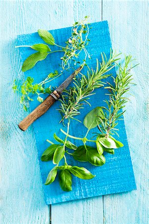 Fresh rosemary, basil, thyme and sage Stock Photo - Premium Royalty-Free, Code: 659-08903276