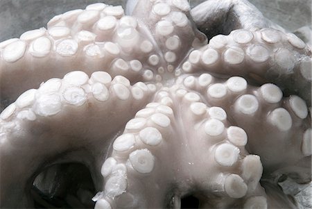 Close up of a frozen octopus Photographie de stock - Premium Libres de Droits, Code: 659-08903542