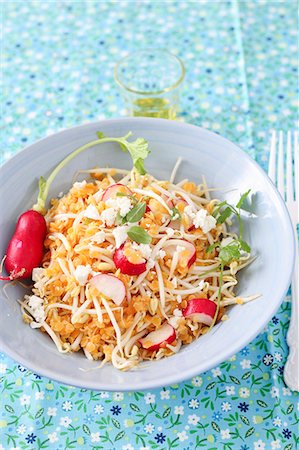 simsearch:659-06901615,k - Lentil salad with beansprouts and radishes Photographie de stock - Premium Libres de Droits, Code: 659-08940595