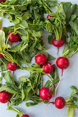 simsearch:659-08906233,k - Radishes with leaves Photographie de stock - Premium Libres de Droits, Code: 659-09125210