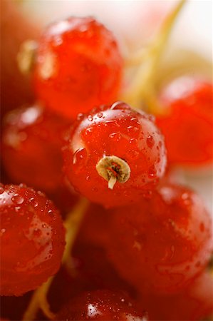 simsearch:659-01844009,k - Redcurrants with drops of water (detail) Foto de stock - Sin royalties Premium, Código: 659-01844007