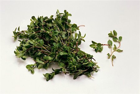 A bunch and a sprig of fresh marjoram Foto de stock - Sin royalties Premium, Código: 659-01844280