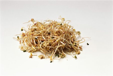 Fresh soya sprouts Stock Photo - Premium Royalty-Free, Code: 659-01844303